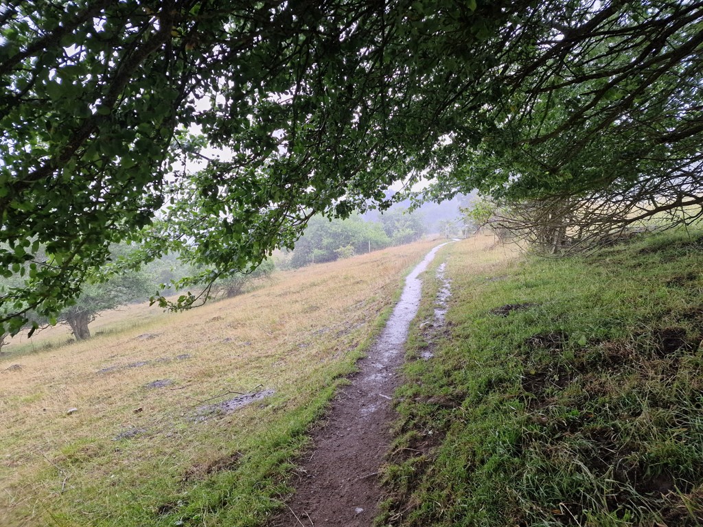 De Panorama route in de regen