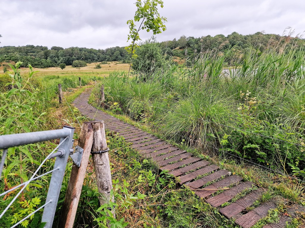 De mooiste route Denemarken - vlonderpad