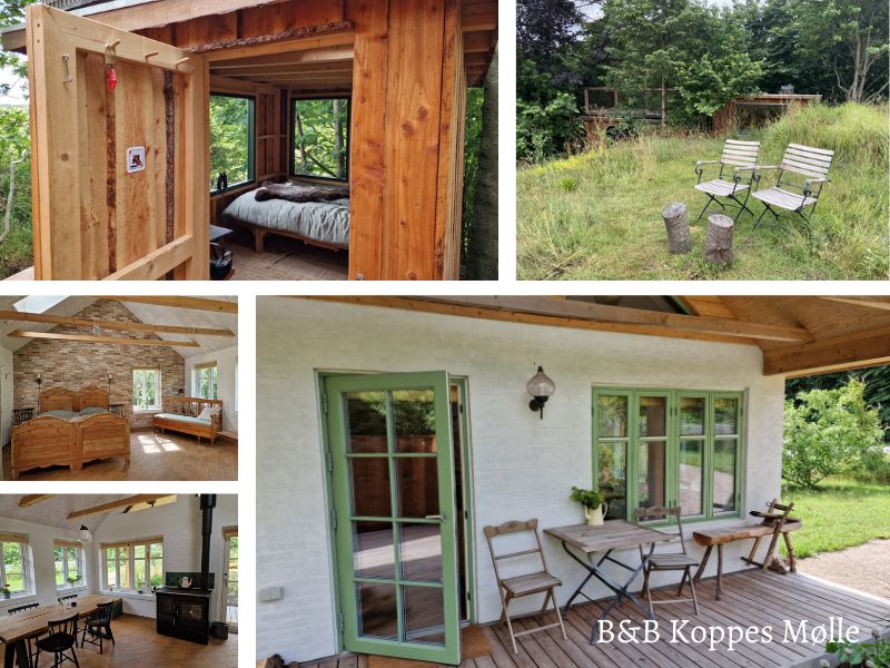 Bijzonder overnachten in een houten cabin met dakterras