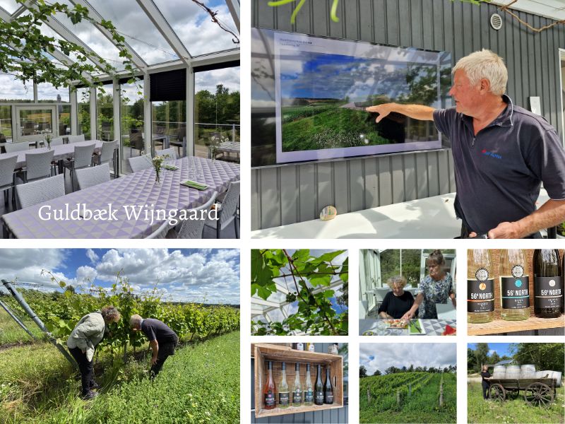 Check de meest ondernemende wijngaard in Denemarken