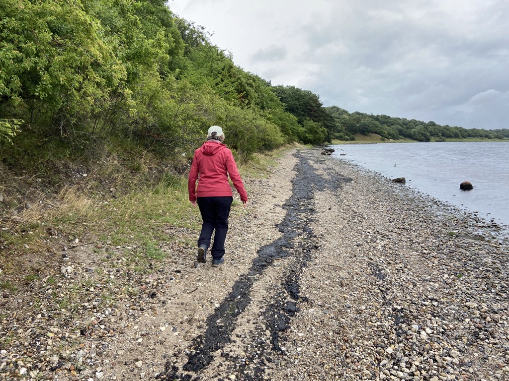 wandelen over de mooiste wandelroute van Denemarken langs het water – De Panorama Route