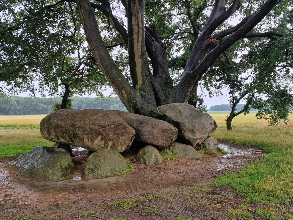 Hunebeddenwandeling Naar de hunebedden