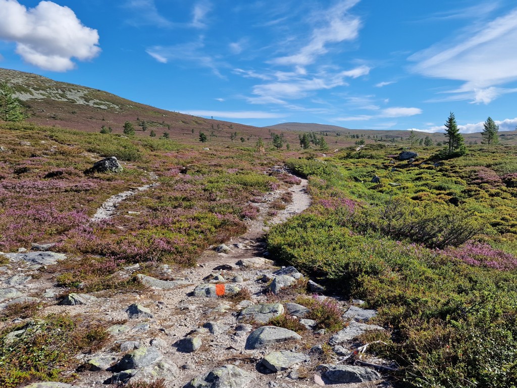 wandelpad Barfredshågna Runt - wandelen in Långfjället