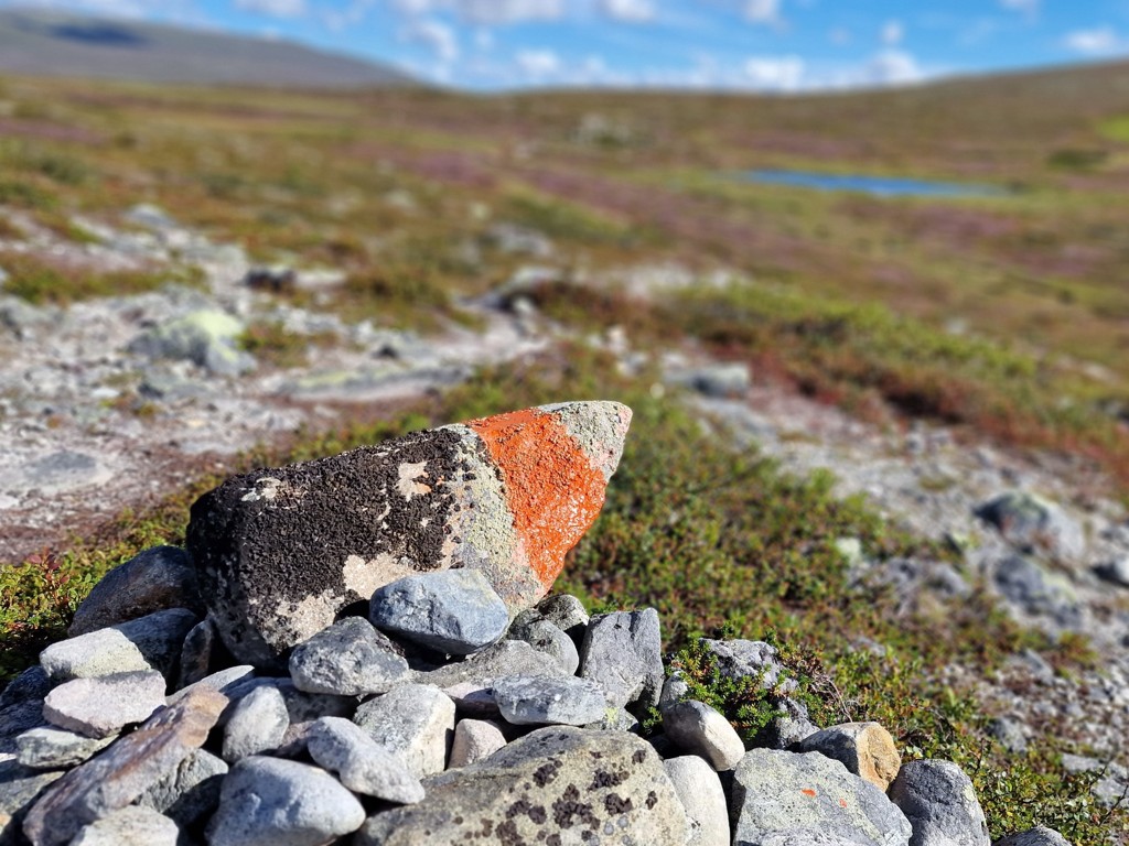 Routemarkering op de Barfredshågna Runt