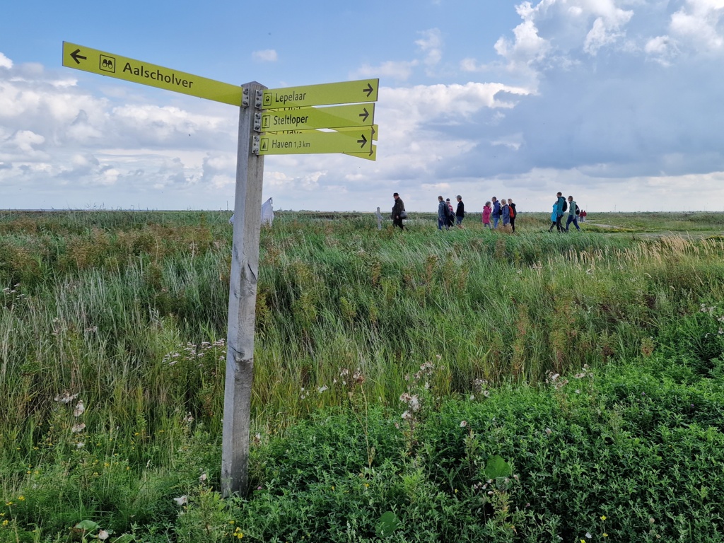 Wandelen over de Marker wadden