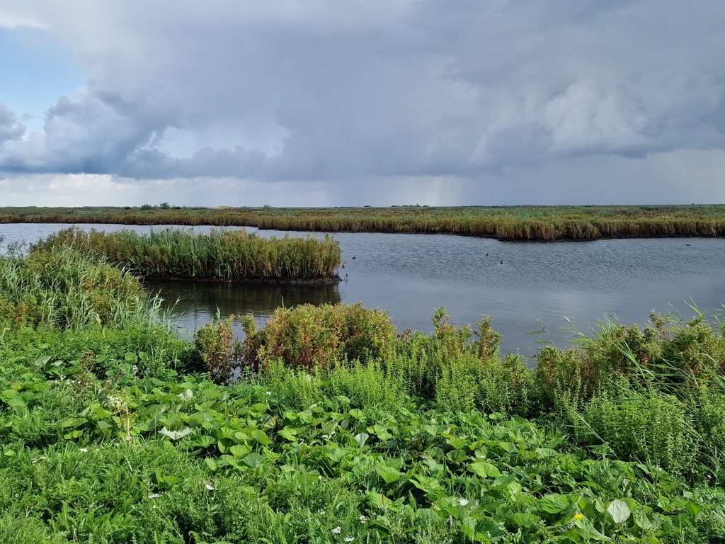 Marker Wadden