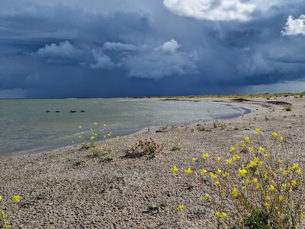 Strand met donkere lucht