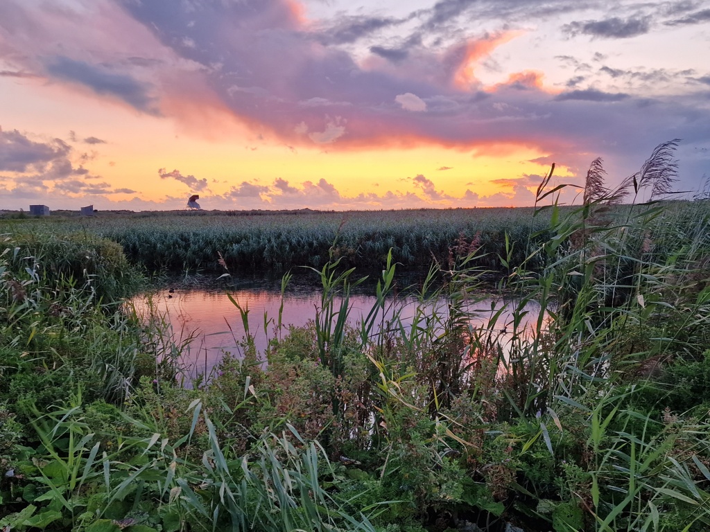 Zonsondergang in meertje Marker Wadden