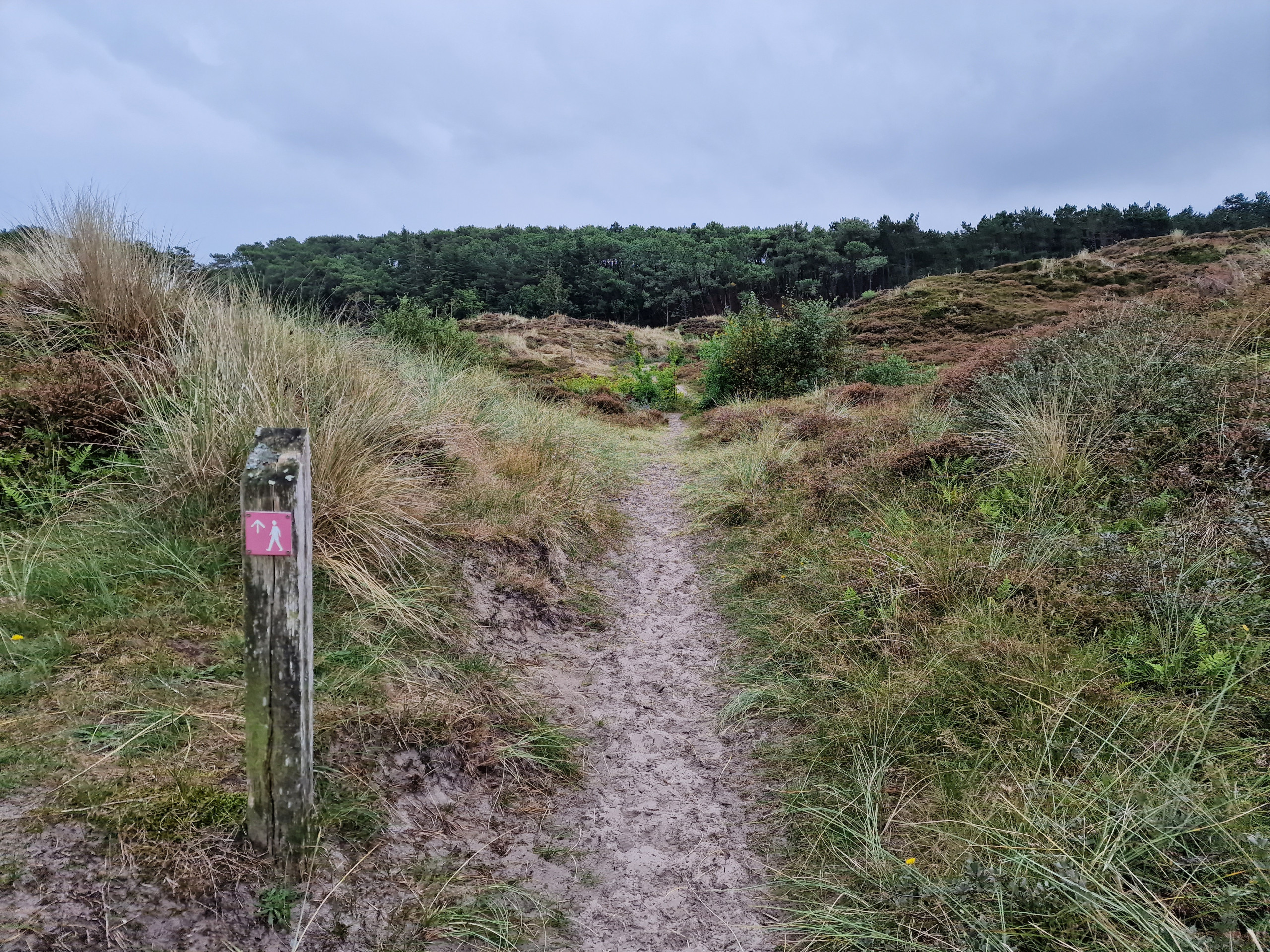 Routemarkering rode wandelroute West-Terschelling: Doodemanskisten en Seinpaalduin