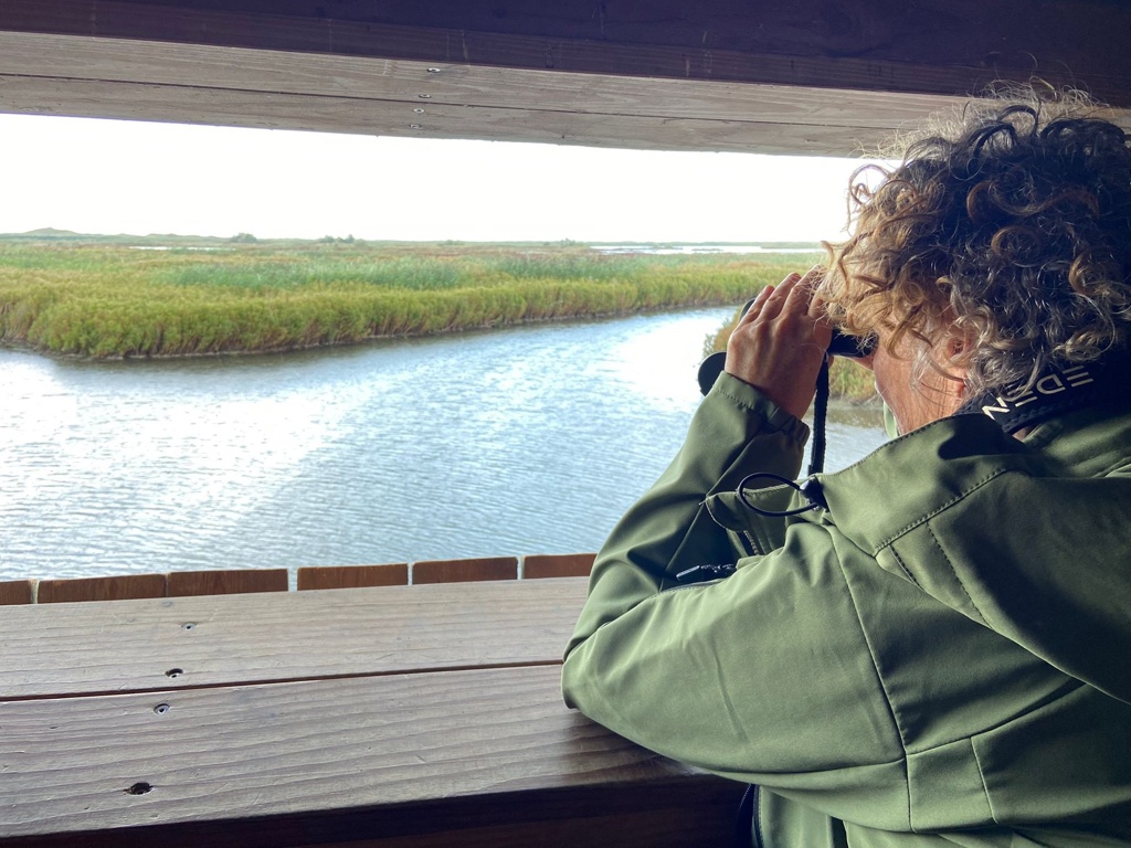 Kijken met de verrekijker in vogelkijkhut de Lepelaar