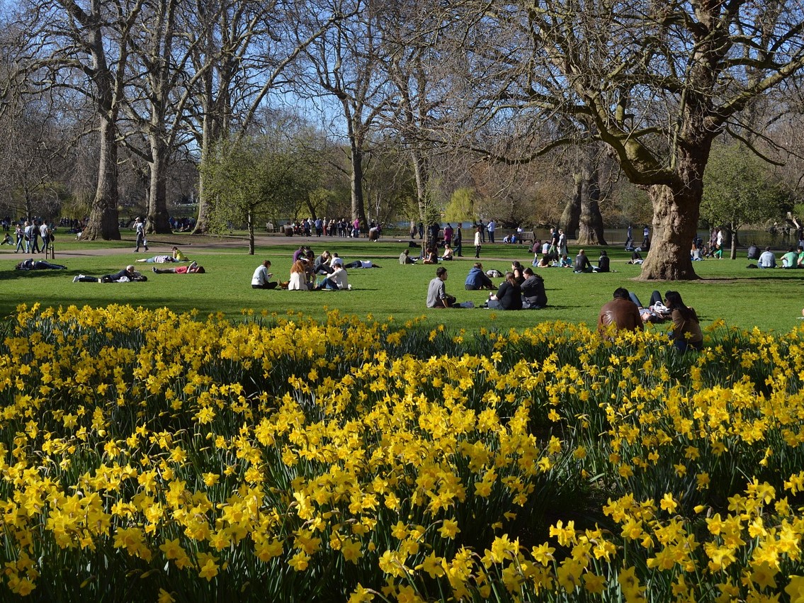 Lente in St James Park, wandelingen in Londen