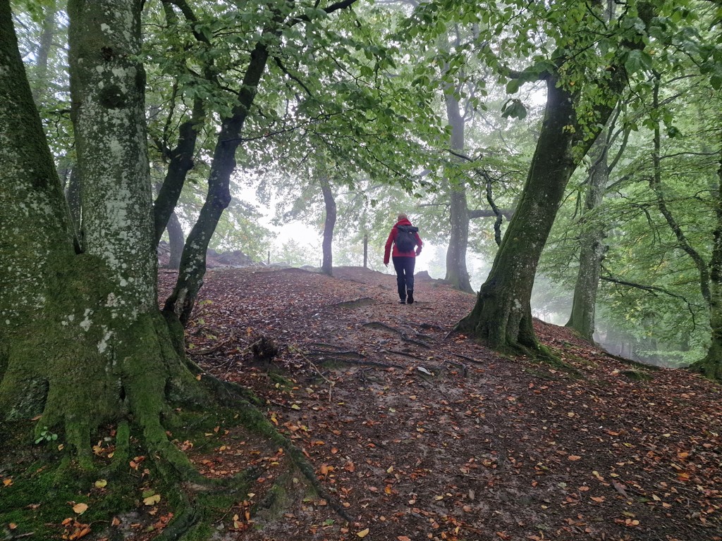 Wandelen in Rövarekulan 