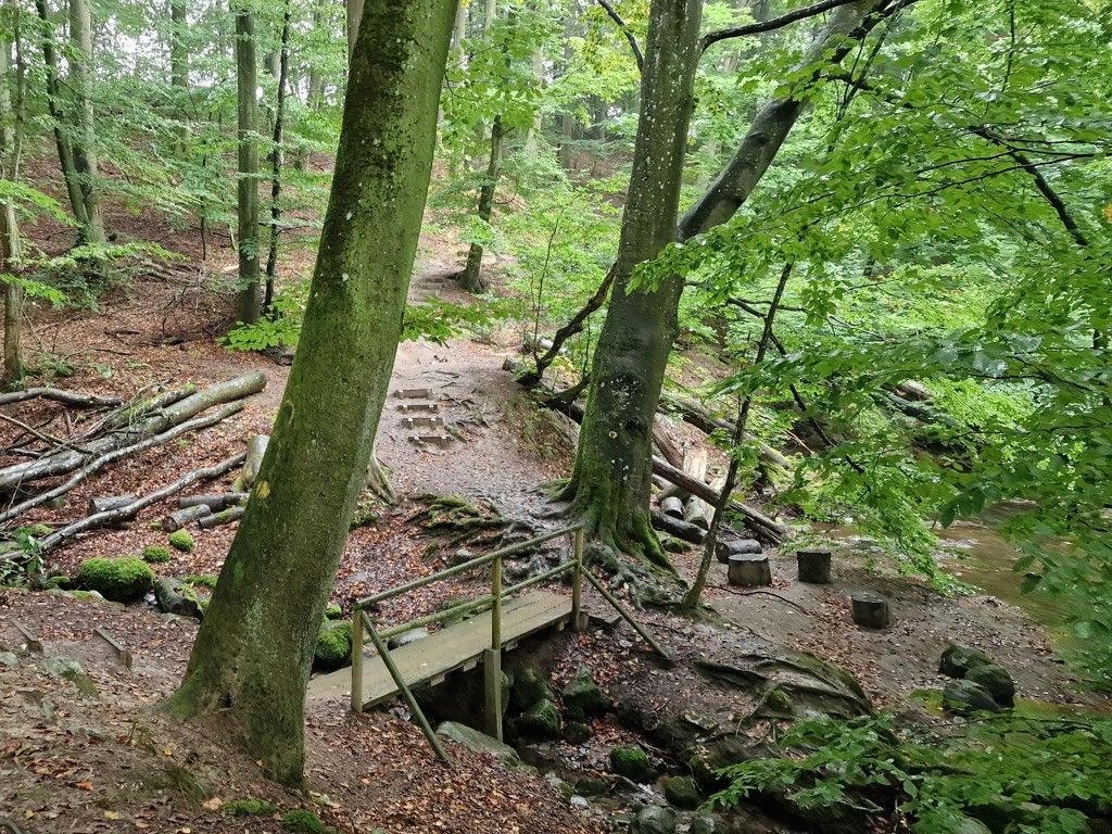 Wandelen in Rövarekulan in Skåne