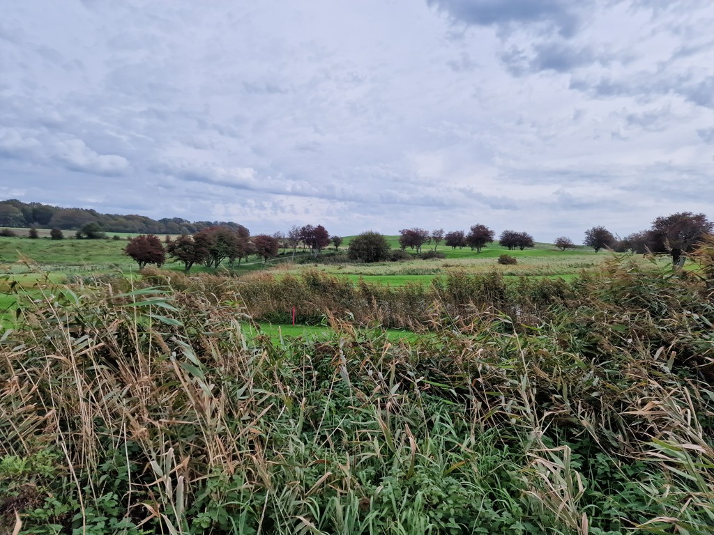 wandelen in Skåne langs de Skåneleden hiking trail