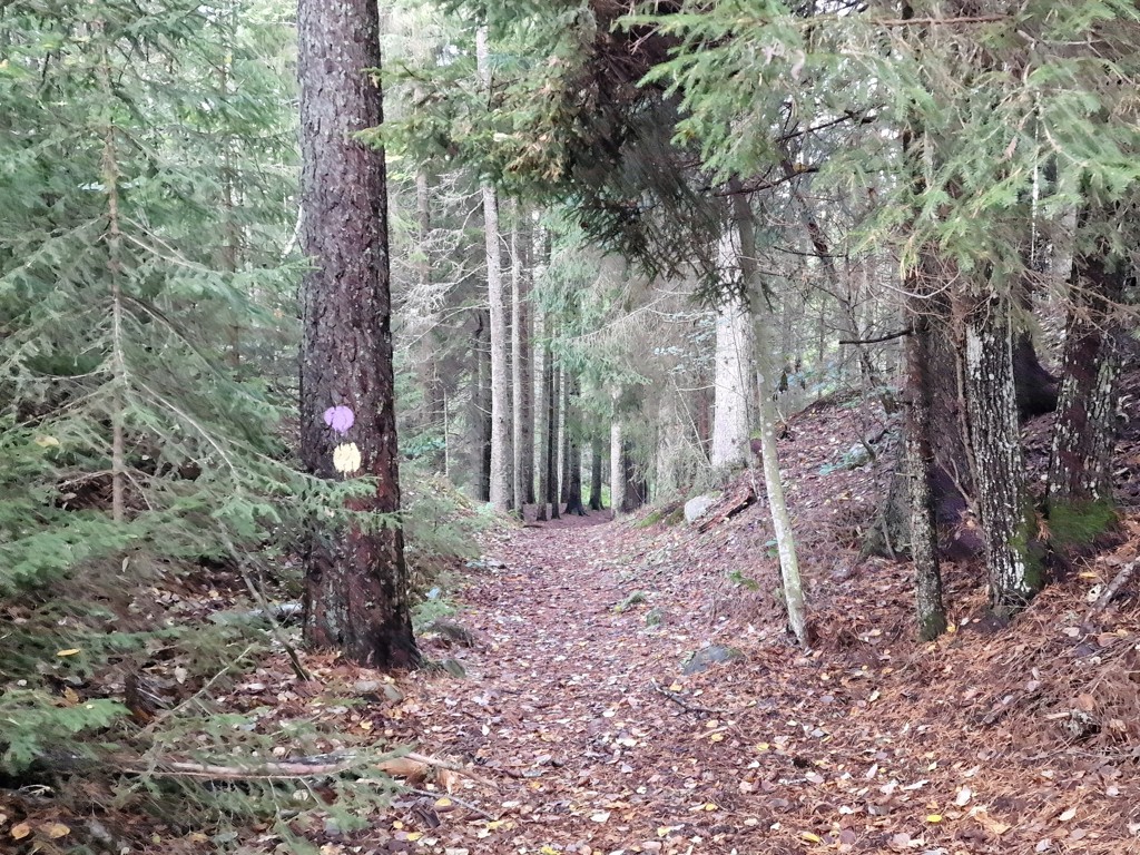 Wandelen in Småland. De Ryforsleden in Mullsjö