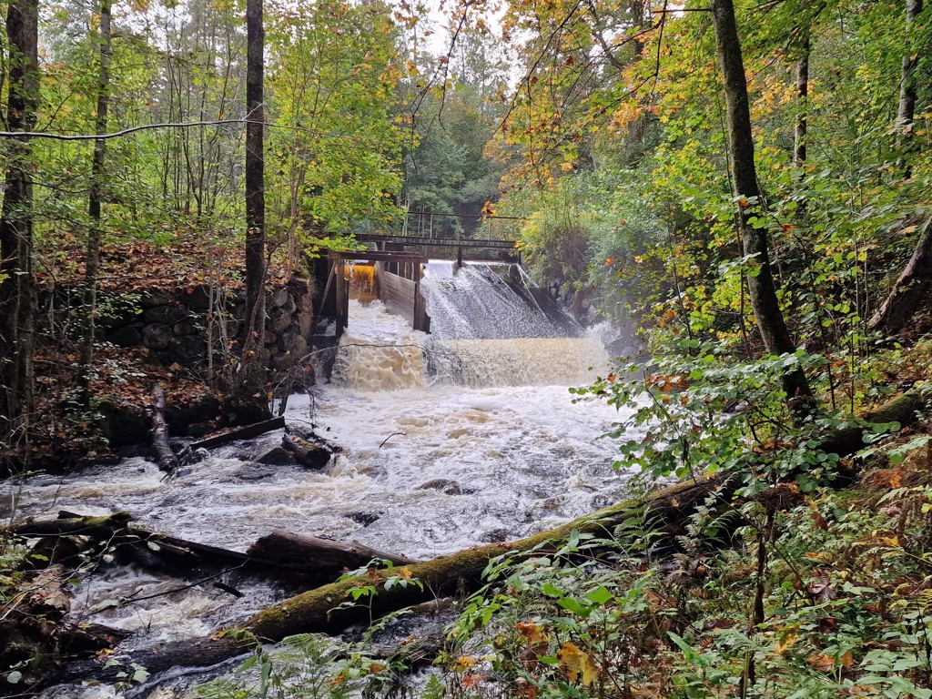 Wandelen in Småland. De Ryforsleden in Mullsjö