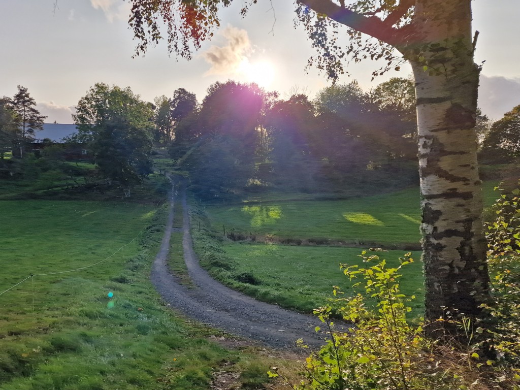 Wandelen in Småland - John Bauerleden