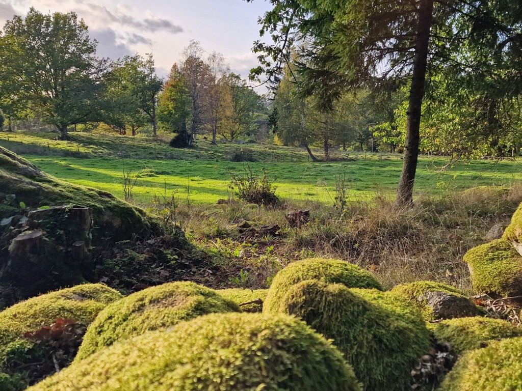 Wandelen in Småland - John Bauerleden