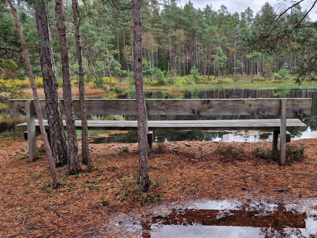 Wandelen in Småland - Wandelbankje Store Mosse Nationaal Park