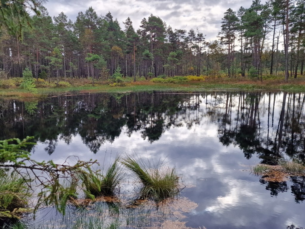 Wandelen in Småland - Store Mosse Nationaal Park