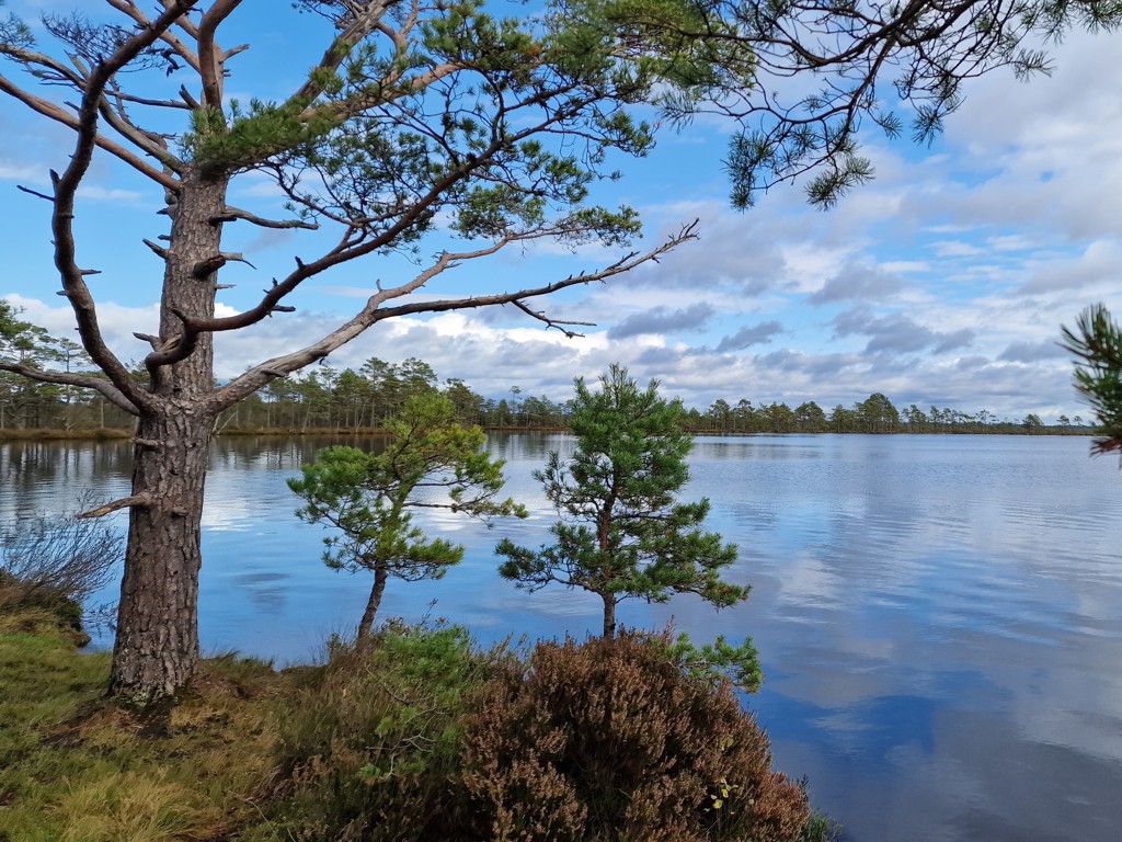 Wandelen in Småland - Store Mosse Nationaal Park