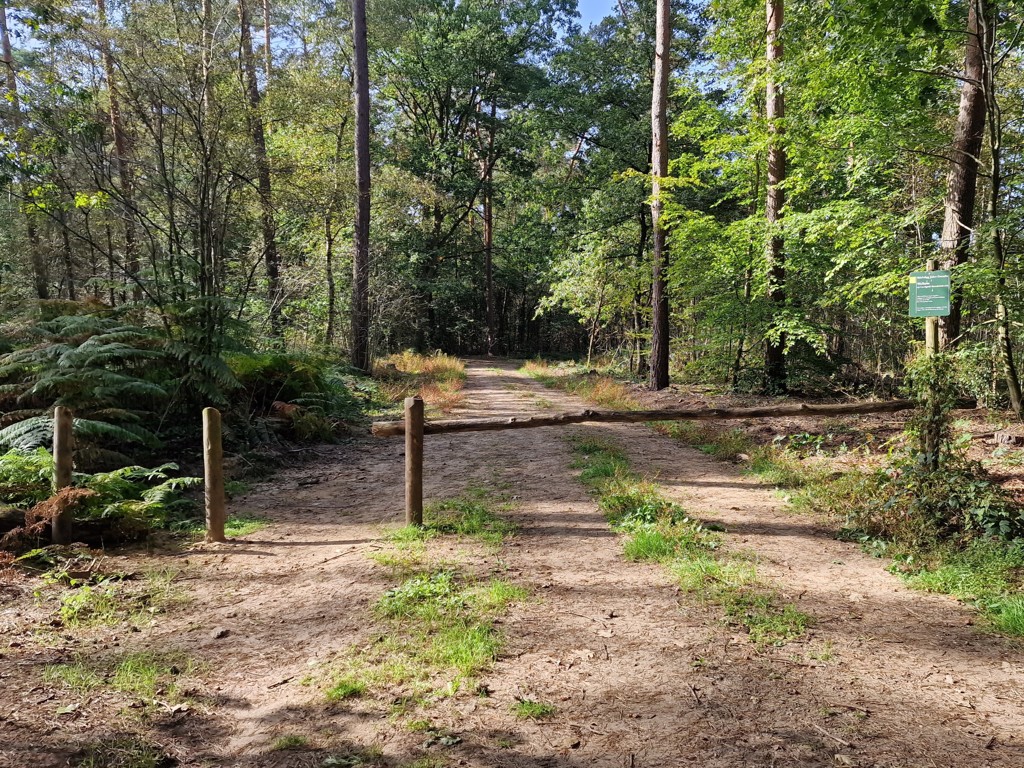 Wandelroute Posterholt Munnichsbos