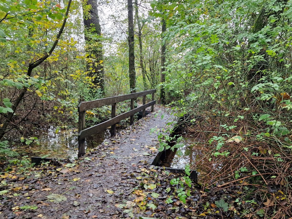 Brug in Reeuwijkse hout