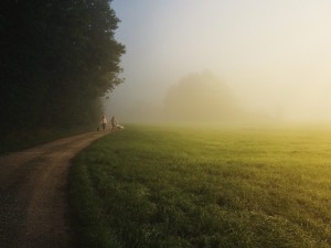 Ochtendwandeling met nevel