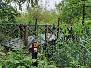 brug over trekvogelpad