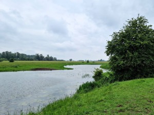 Amerongse Bovenpolder