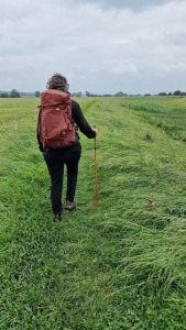 wandelen in de Amerongse Bovenpolder