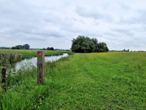 Amerongse Bovenpolder