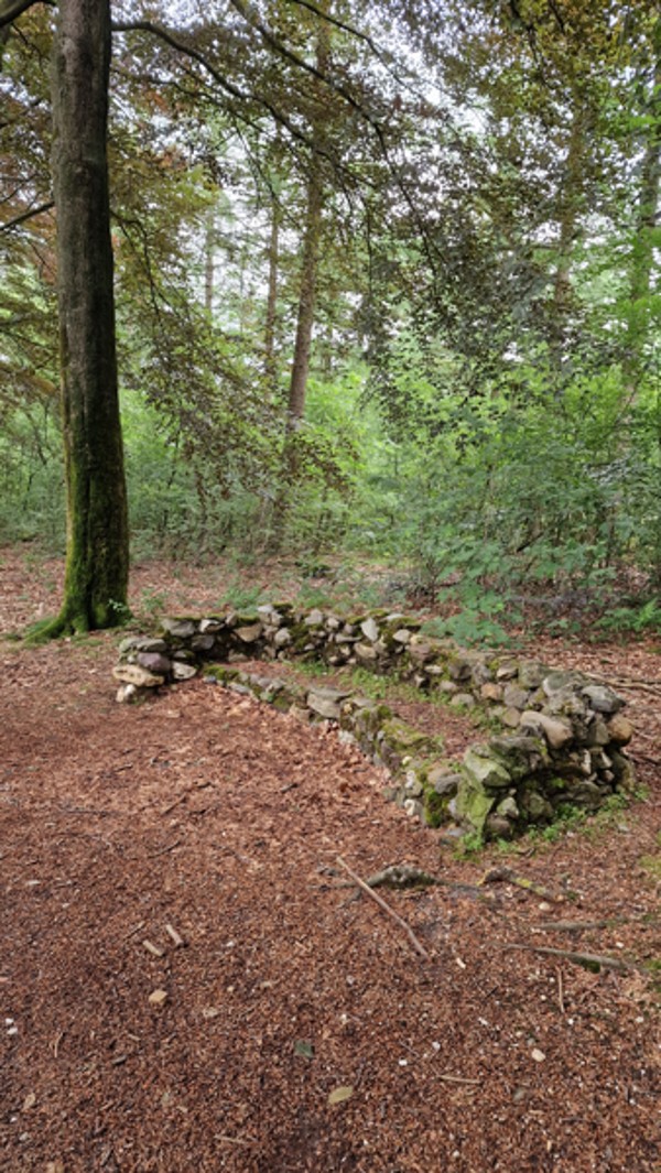 Trekvogelpad etappe 13 Amerongse bos