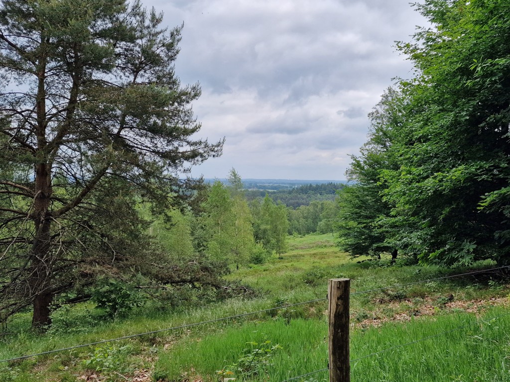 Trekvogelpad etappe 13- Uitzicht over Betuwe