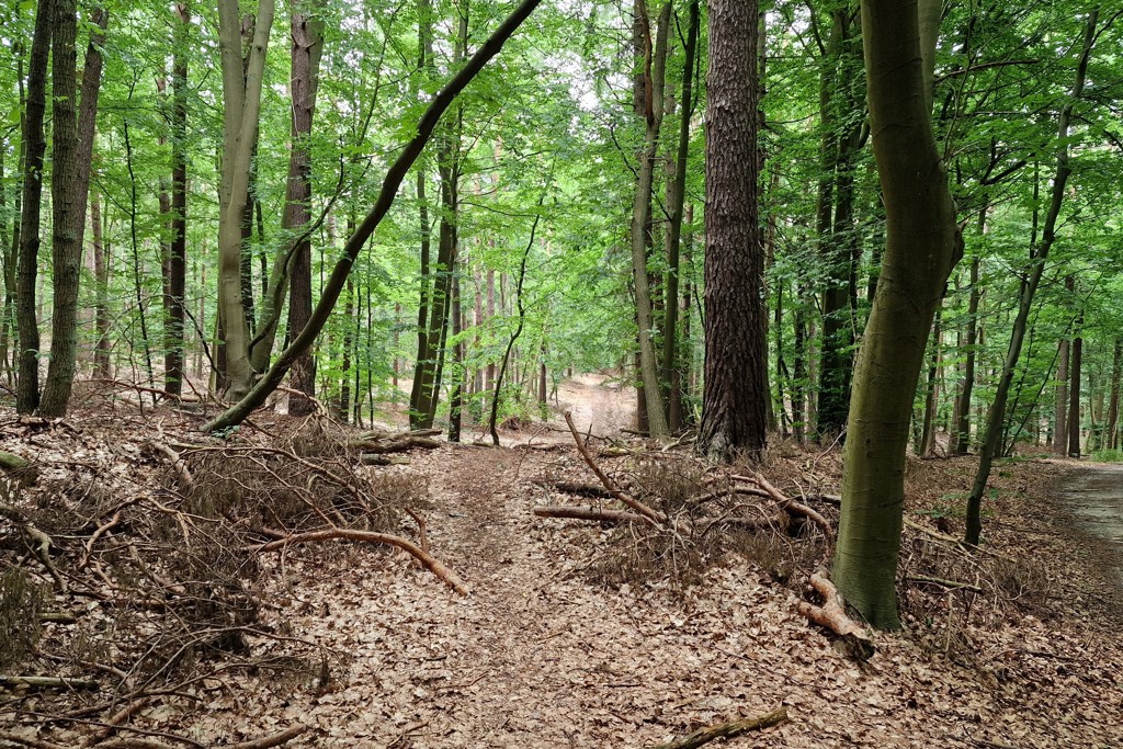 Mümmelken-See wandeltip