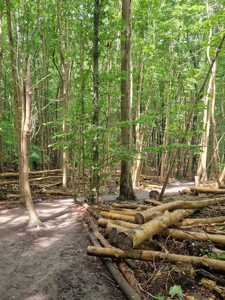 wandelpad Hochuferweg