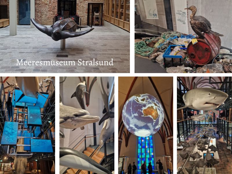 Meeresmuseum Stralsund