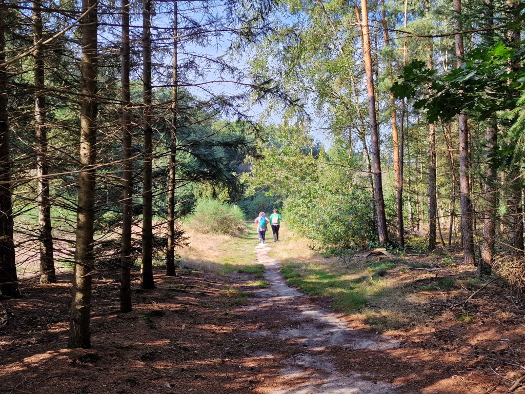 Apenhuizen Wandelroute - Landgoed 't Hemeltje