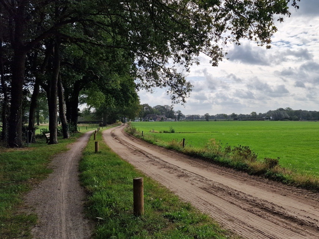 zandweg met zandpad