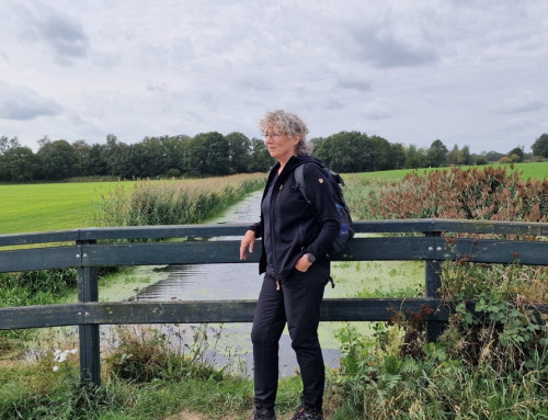 Wandelen bij Bathmen: de Apenhuizen wandelslinger