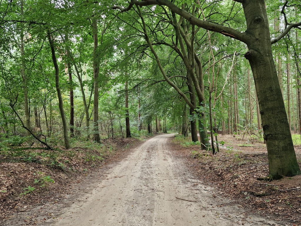 Apenhuizen Wandelroute Landgoed 't Hemeltje