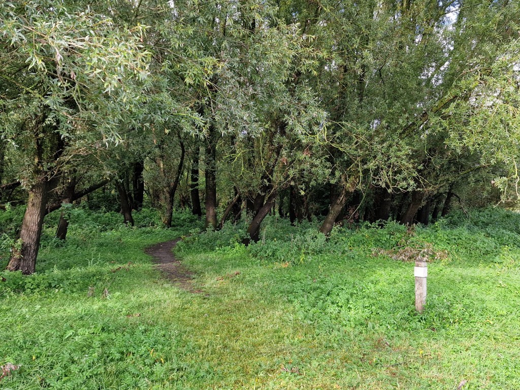 Natuurgebied de Ossenwaard bij Deventer