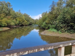 bruggen in Natuurgebied de Ossenwaard bij Deventer