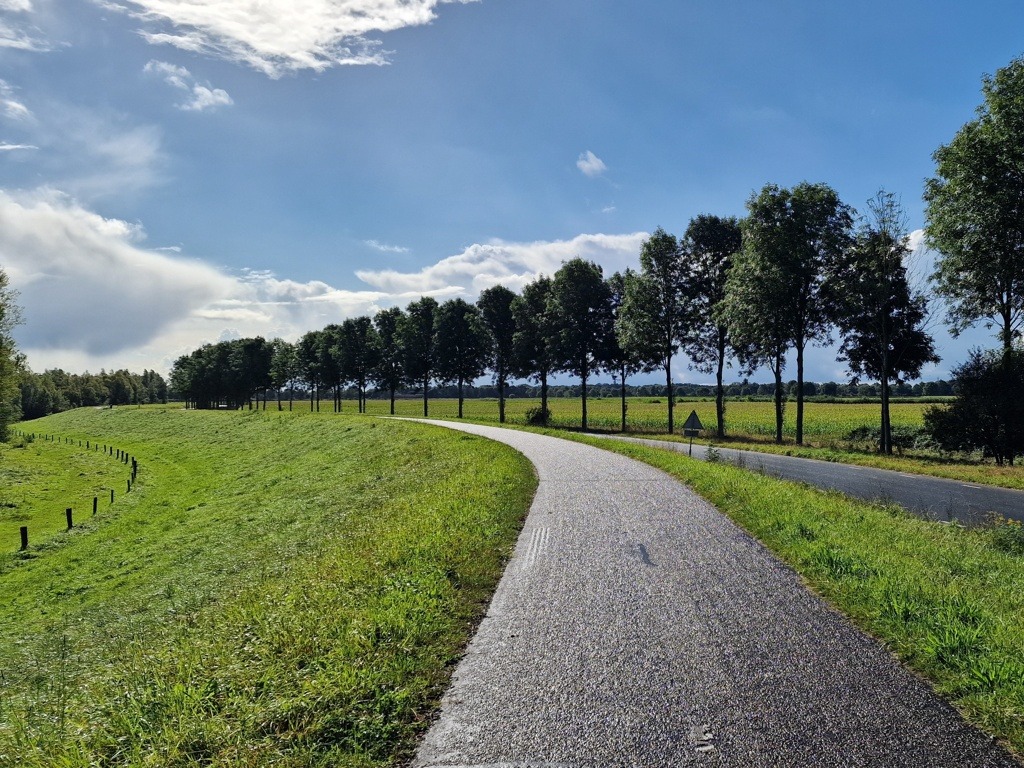 Hazepadwandeling De Ossenwaard langs de dijk