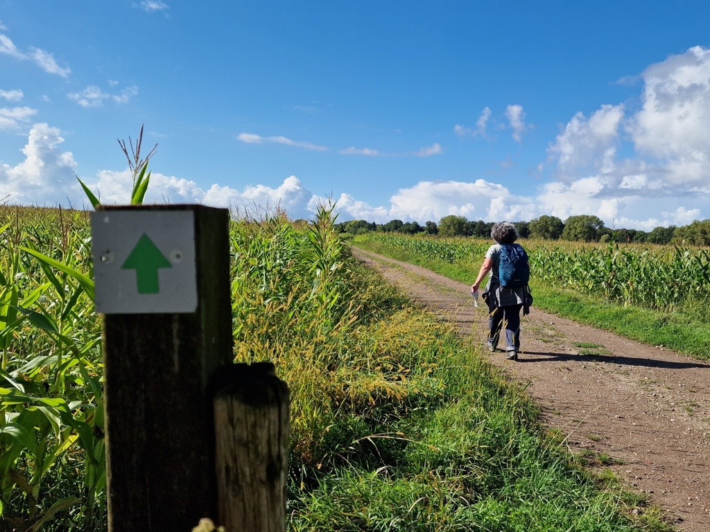 Hazepadwandeling De Ossenwaard door Het Stadsland Deventer