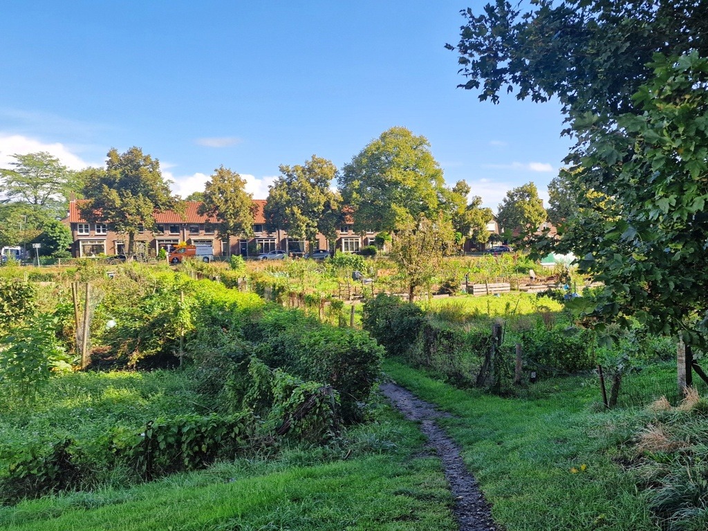 Hazepadwandeling De Ossenwaard door de volkstuintjes van De Hoven in Deventer