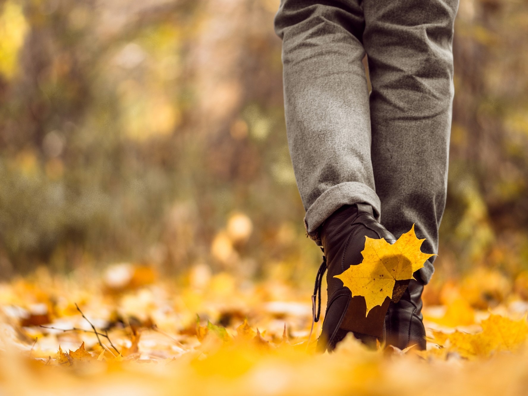 geel blad kleeft aan schoen tijdens het wandelen in de herfst