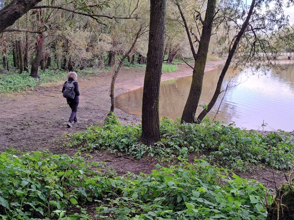 Wandelen over hazepadwandeling De Ossenwaard