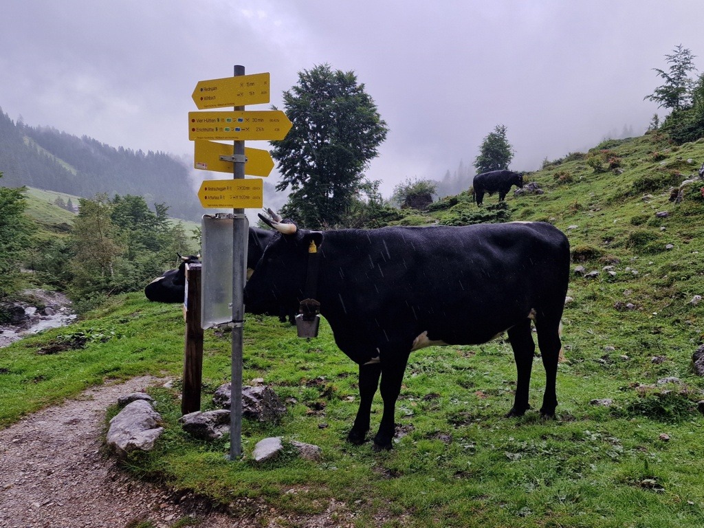 routewijzers op de Salzburger Almenweg