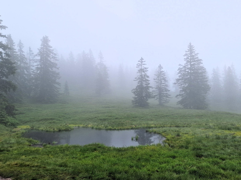 Mist op de Rossbrand